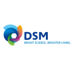 dsm-logo